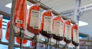 Día mundial de donación de sangre: «No puedes ayudar a los demás» Día mundial de donación de sangre: "No puedes ayudar a los demás"