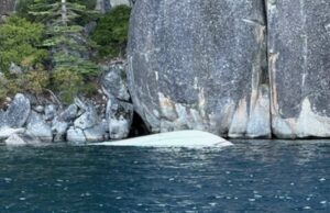 Al menos 6 muertos y 2 desaparecidos después del bote Channe en el lago Tahoe Al menos 6 muertos y 2 desaparecidos después del bote Channe en el lago Tahoe