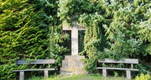 El cementerio de Bornkamp cierra: se supone que las tumbas deben moverse al robo El cementerio de Bornkamp cierra: se supone que las tumbas deben moverse al robo