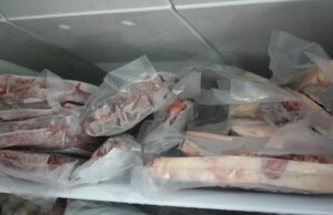 Carne sacrificial cuando Eid al -adha se acumuló? Esta es la fecha límite para almacenar en el refrigerador y el congelador. Carne sacrificial cuando Eid al -adha se acumuló? Esta es la fecha límite para almacenar en el refrigerador y el congelador.