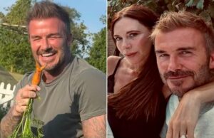 David y Victoria Beckham comparten un momento divertido en el jardín del patio trasero David y Victoria Beckham comparten un momento divertido en el jardín del patio trasero