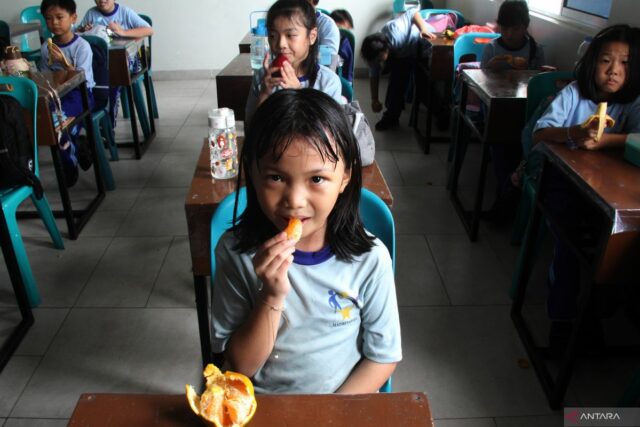 El nutricionista sugiere que los padres sirven bocadillos para niños no solo un delicioso sabor


