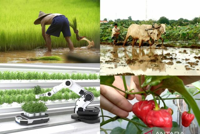 Adaptarse como una comunidad agraria de país

