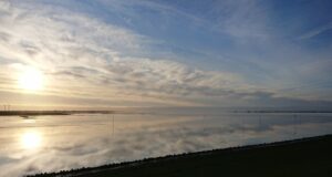 Registro de calor en el Mar del Norte: nunca ha sido tan cálido en primavera NDR.de – Noticias Registro de calor en el Mar del Norte: nunca ha sido tan cálido en primavera NDR.de - Noticias