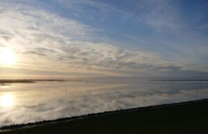 Registro de calor en el Mar del Norte: nunca ha sido tan cálido en primavera NDR.de – Noticias Registro de calor en el Mar del Norte: nunca ha sido tan cálido en primavera NDR.de - Noticias
