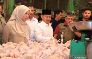 Deflación que golpeó la regencia de Bekasi debido a abundantes alimentos Deflación que golpeó la regencia de Bekasi debido a abundantes alimentos