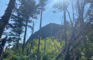 Day 13: Three Bigelow – The Trek Day 13: Three Bigelow - The Trek