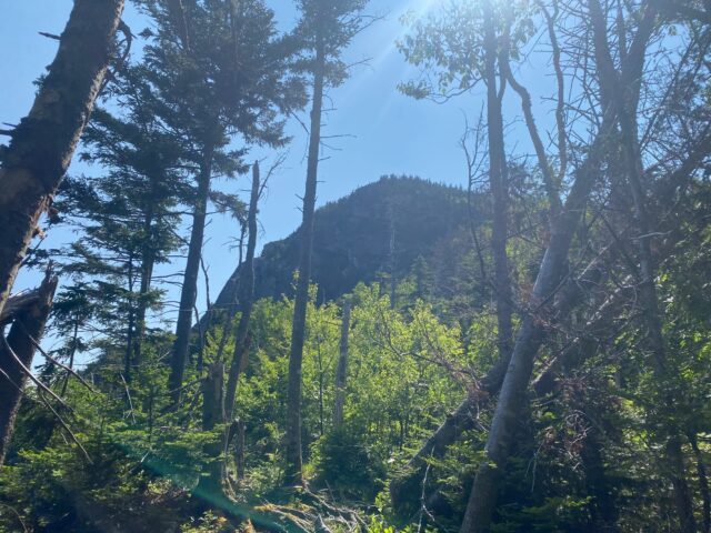 Day 13: Three Bigelow - The Trek Day 13: Three Bigelow - The Trek