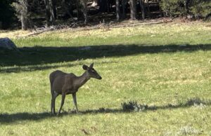 Day 58 – Recovering the path Day 58 - Recovering the path