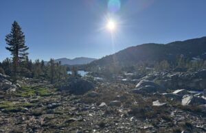 Day 59 – Mosquitoes! Day 59 - Mosquitoes!