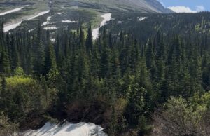 Microspikes & Marmots Microspikes & Marmots