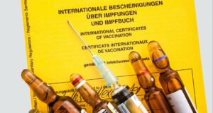 Vacaciones: ¿Qué vacunas al viajar al extranjero? | NDR.DE – Guía Vacaciones: ¿Qué vacunas al viajar al extranjero? | NDR.DE - Guía