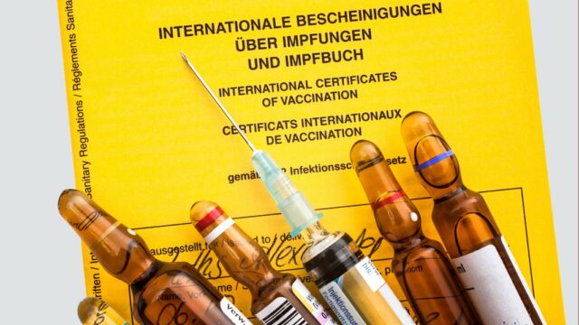 Vacaciones: ¿Qué vacunas al viajar al extranjero? | NDR.DE - Guía

