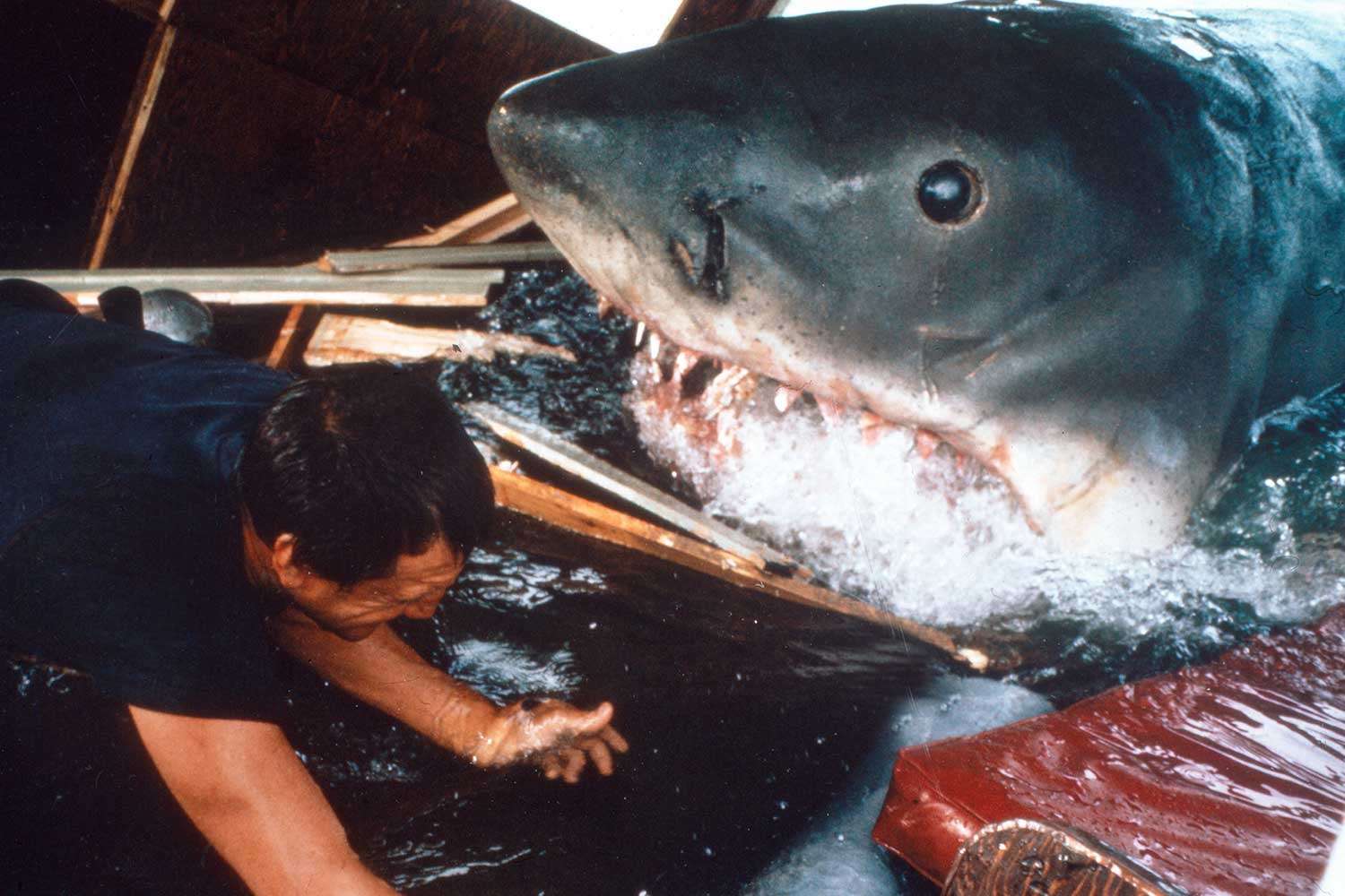 El diseñador que hizo el tiburón en "Jaws" comparte los secretos de todo (exclusivo)

