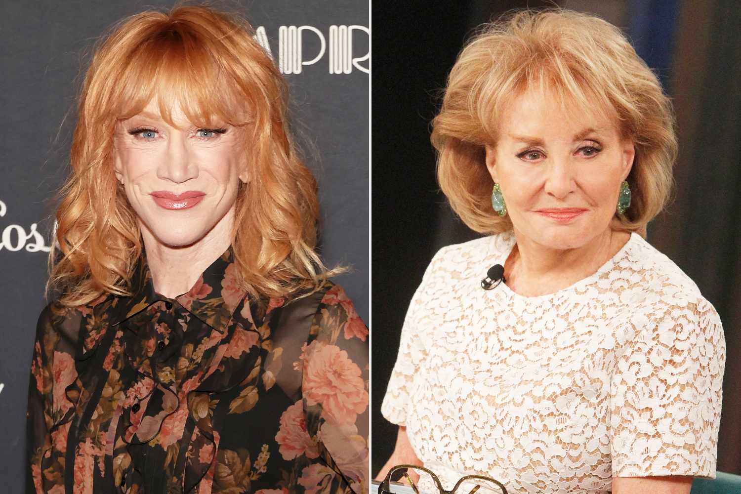 Kathy Griffin rechazó la oferta de $ 1.4 millones por coanfitrión "The View" y Barbara Walters "no le gustó este bit"

