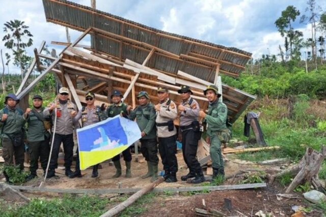 Kemenhut garantiza los esfuerzos de fortalecimiento para controlar el área tnso nilo tn

