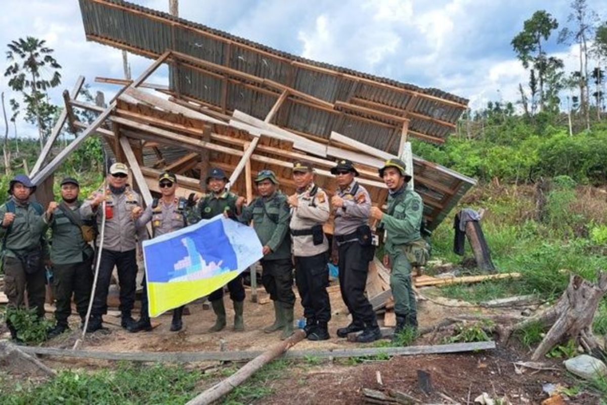 Kemenhut garantiza los esfuerzos de fortalecimiento para controlar el área tnso nilo tn


