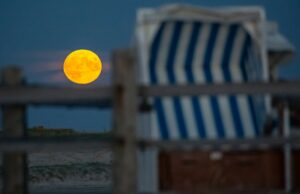 Por qué la «luna de fresa» se parecía más a albaricoque Por qué la "Luna de Strawberry" se parece más a Apricot esta noche | NDR.DE - Noticias