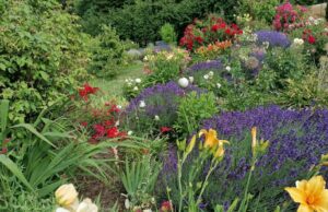 Jardines abiertos en MV: «Ofrezca la pasión un escenario» Jardines abiertos en MV: "Ofrezca la pasión un escenario"