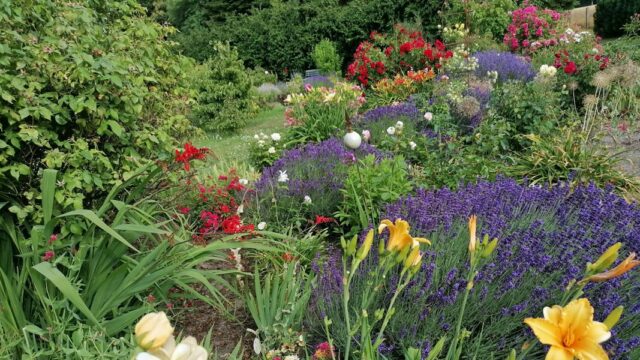 Jardines abiertos en MV: "Ofrezca la pasión un escenario" Jardines abiertos en MV: "Ofrezca la pasión un escenario"