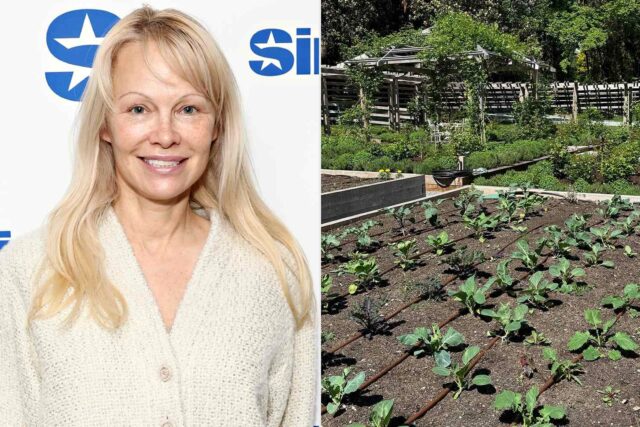 Pamela Anderson dice que su jardín en la isla de Vancouver es "donde todo se conoció para mí"

