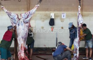 Estos consejos para disfrutar de carne de sacrificio saludable y colesterol Ini tips menikmati daging kurban sehat dan bebas kolesterol