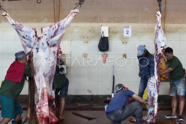 Ini tips menikmati daging kurban sehat dan bebas kolesterol
