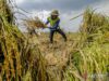 Mantener el poder económico de Indonesia en medio de la agitación global Mantener el poder económico de Indonesia en medio de la agitación global