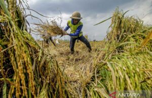 Mantener el poder económico de Indonesia en medio de la agitación global Mantener el poder económico de Indonesia en medio de la agitación global
