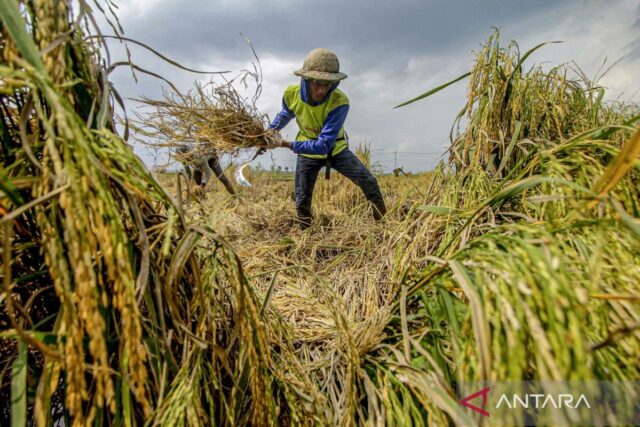 Mantener el poder económico de Indonesia en medio de la agitación global

