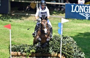 Miversarity DM en Luhmühlen: el salto decisivo en vivo Miversarity DM en Luhmühlen: el salto decisivo en vivo