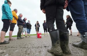 Calentamiento global y microplastia: el mar de Wadden cambia Calentamiento global y microplastia: el mar de Wadden cambia