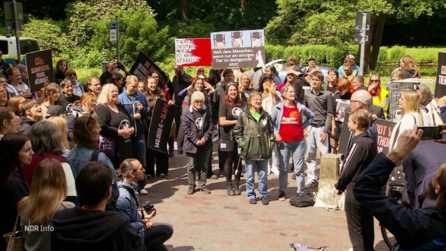 Después de las grabaciones de video: la marca Schlachthof demanda a los activistas de los derechos de los animales

