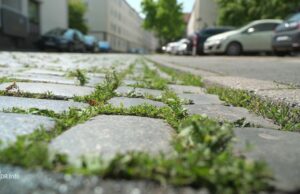 190 ciudades en el control de calor de la ayuda ambiental alemana 190 ciudades en el control de calor de la ayuda ambiental alemana