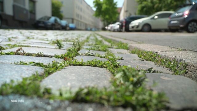 190 ciudades en el control de calor de la ayuda ambiental alemana

