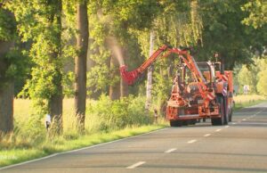 Los gusanos de hilo ayudan contra los hilanderos procesionales venenosos de roble Ayuda con los hilanderos de la procesión de roble: ¿son los gusanos de hilo la solución?