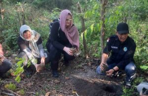 DLH llama a los estudiantes australianos atraídos por la singularidad de Trumon Forest Park DLH llama a los estudiantes australianos atraídos por la singularidad de Trumon Forest Park
