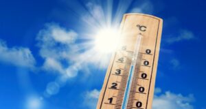 Hitze-Check 2025: Así es como las ciudades en el norte de Alemania están cortando Hitze-Check 2025: Así es como las ciudades en el norte de Alemania están cortando