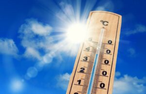 Hitze-Check 2025: Así es como las ciudades en el norte de Alemania están cortando Hitze-Check 2025: Así es como las ciudades en el norte de Alemania están cortando