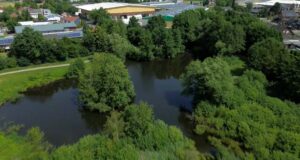 Vechta: Se supone que Dead Rat debe atraer al presunto cocodrilo ¿Un cocodrilo nade en un estanque en Vechta? | NDR.DE - Noticias - Baja Sajonia