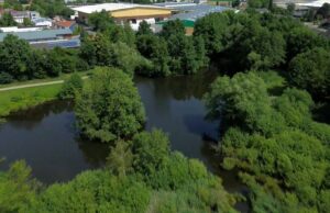 Vechta: Se supone que Dead Rat debe atraer al presunto cocodrilo ¿Un cocodrilo nade en un estanque en Vechta? | NDR.DE - Noticias - Baja Sajonia