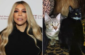 El ex esposo de Wendy Williams dice en un nuevo juicio que su portero «vendió» a sus gatos El ex esposo de Wendy Williams dice en un nuevo juicio que su portero "vendió" a sus gatos