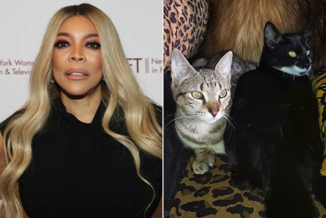 El ex esposo de Wendy Williams dice en un nuevo juicio que su portero "vendió" a sus gatos

