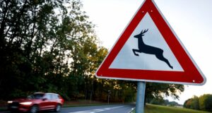 Más de 20 accidentes de juego en unas pocas horas NDR.de – Noticias Más de 20 accidentes de juego en unas pocas horas NDR.de - Noticias