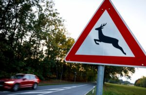 Más de 20 accidentes de juego en unas pocas horas NDR.de – Noticias Más de 20 accidentes de juego en unas pocas horas NDR.de - Noticias