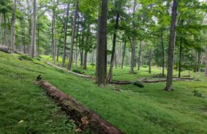 Mantener cosas ligeras (día 165) Mantener cosas ligeras (día 165)