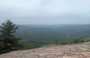 The New York Groove (ECT 166) The New York Groove (ECT 166)