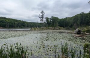 A phone call brings great changes (Ect 167) A phone call brings great changes (Ect 167)