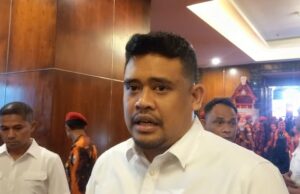 ¿Qué crees que es este Weee?