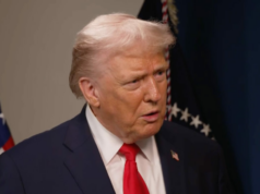 «Puede que solo quede uno en mi mente».
| "Puede que solo quede uno en mi mente".
|